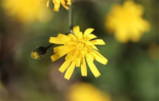 为什么男生撩到女生后就变了 有这3种原因