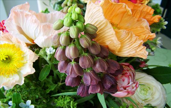 再婚女人不爱再婚老公的表现 这3个方面看出爱不爱