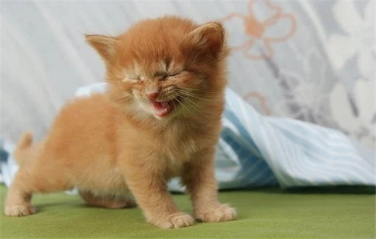 为什么闺蜜脱单了好难过 是因为占有欲么