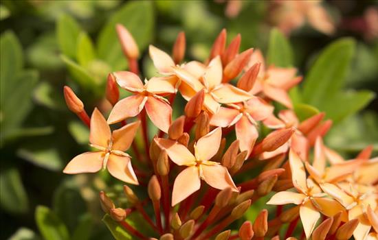 为什么再婚很难幸福 难幸福的3个因素