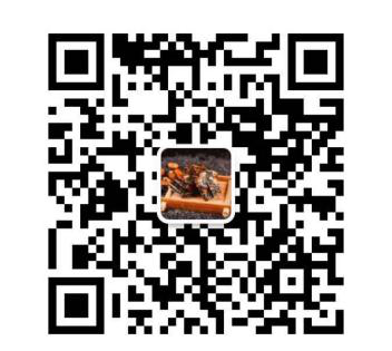 夏季进补不能少，为什么夏天更需要吃阿胶糕？