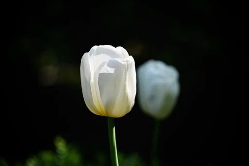 男生撩你可以不动情么 可能是因为这三种原因