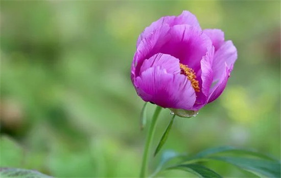 情侣吵架不能说的话 这三种你必须了解