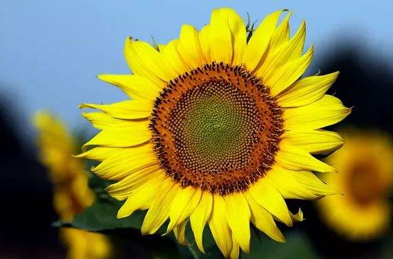 【鑫世界珠宝】有一种前进是后退