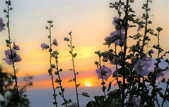 渣女爱上渣男结婚会怎样 看是否为真心相爱