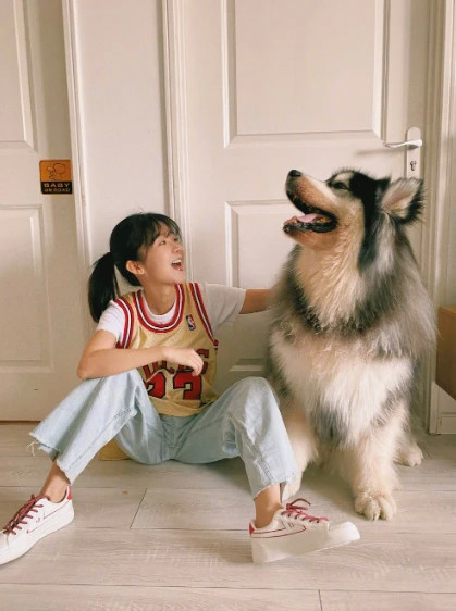 长着一张初恋脸的宋伊人娇小可爱,小个子女生也可以穿成大长腿