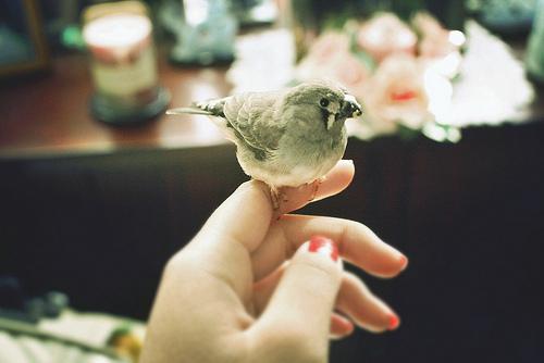双鱼女想复合的暗示 傻傻的等你回头