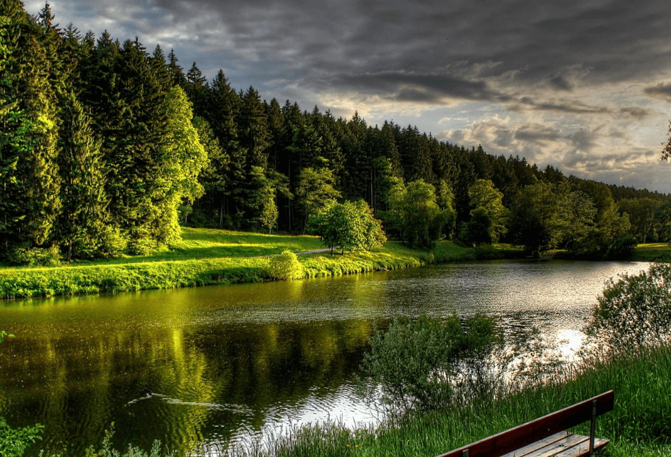 深圳鑫世界珠宝 深圳鑫世界珠宝浅谈松垮的黄衬衫背后的内幕