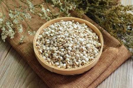 吃薏仁米能减肥美容吗 薏仁米的功效与作用是什么