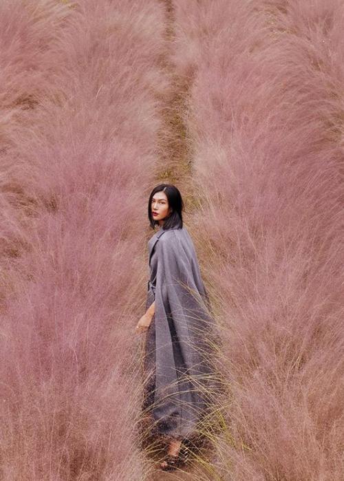 台湾第一网红走红时尚圈,屡获奢侈大牌青睐,拍广告都像杂志大片