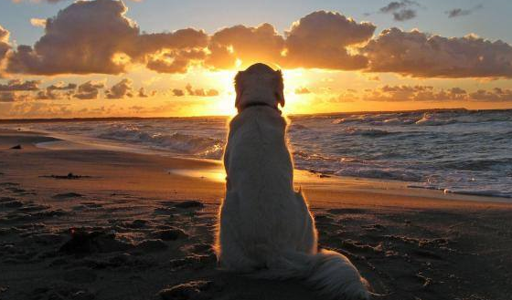 云掌黄金珠宝 云掌黄金珠宝讲述人生最后悔的25件事-下