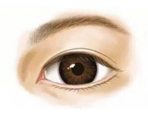 为什么孙峰医生的手术还需要排队预约?