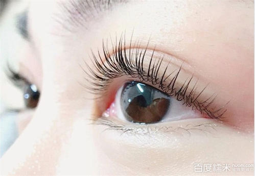 为什么孙峰医生的手术还需要排队预约?