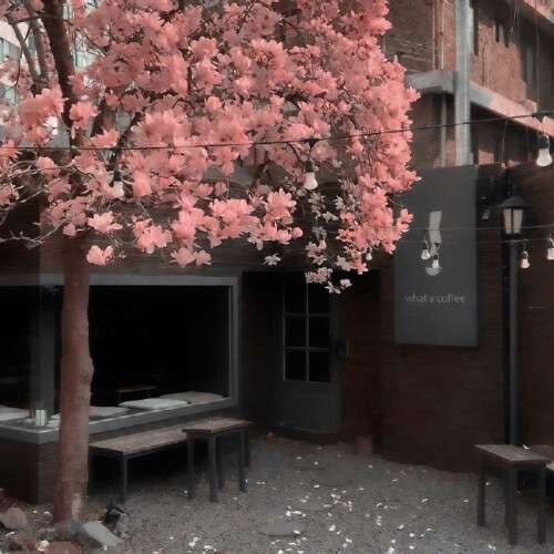 母亲的桃花源流淌 寂寞的她现在终于伴了