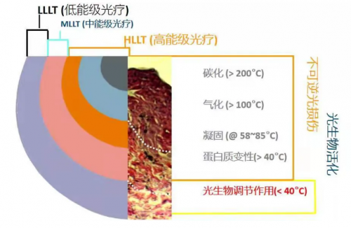能修复痘肌、敏感肌,号称“胶原光”的嗨光来啦!