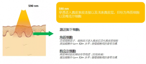 能修复痘肌、敏感肌,号称“胶原光”的嗨光来啦!