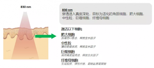 能修复痘肌、敏感肌,号称“胶原光”的嗨光来啦!
