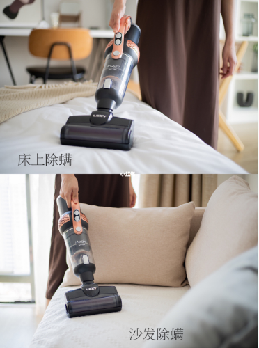 闺蜜买吸尘器，咨询我该选哪一款。