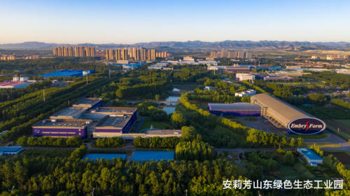 安莉芳:环保,才是当下最IN的Lifestyle