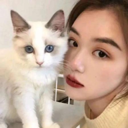 情侣才能看的懂的污段子 只有老司机才知道