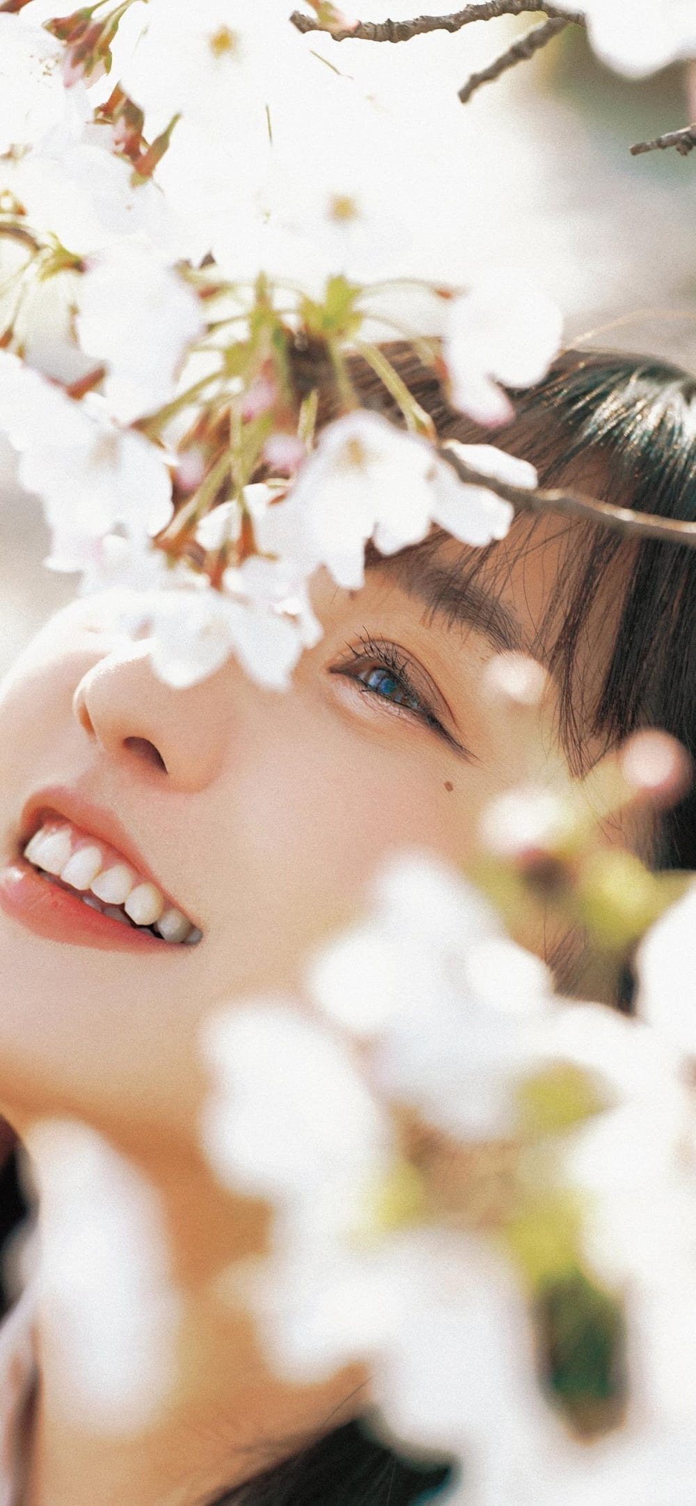 萝莉美少女粉色蝴蝶结jk制服甜美温柔写真图片