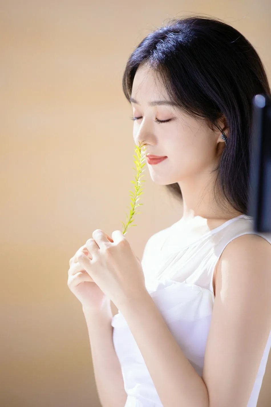 赵丽颖穿白纱裙温婉优雅!温婉优雅让人心动!