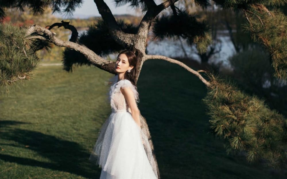 李一桐穿蕾丝纱裙仙气飘飘暖秋森林写真大片