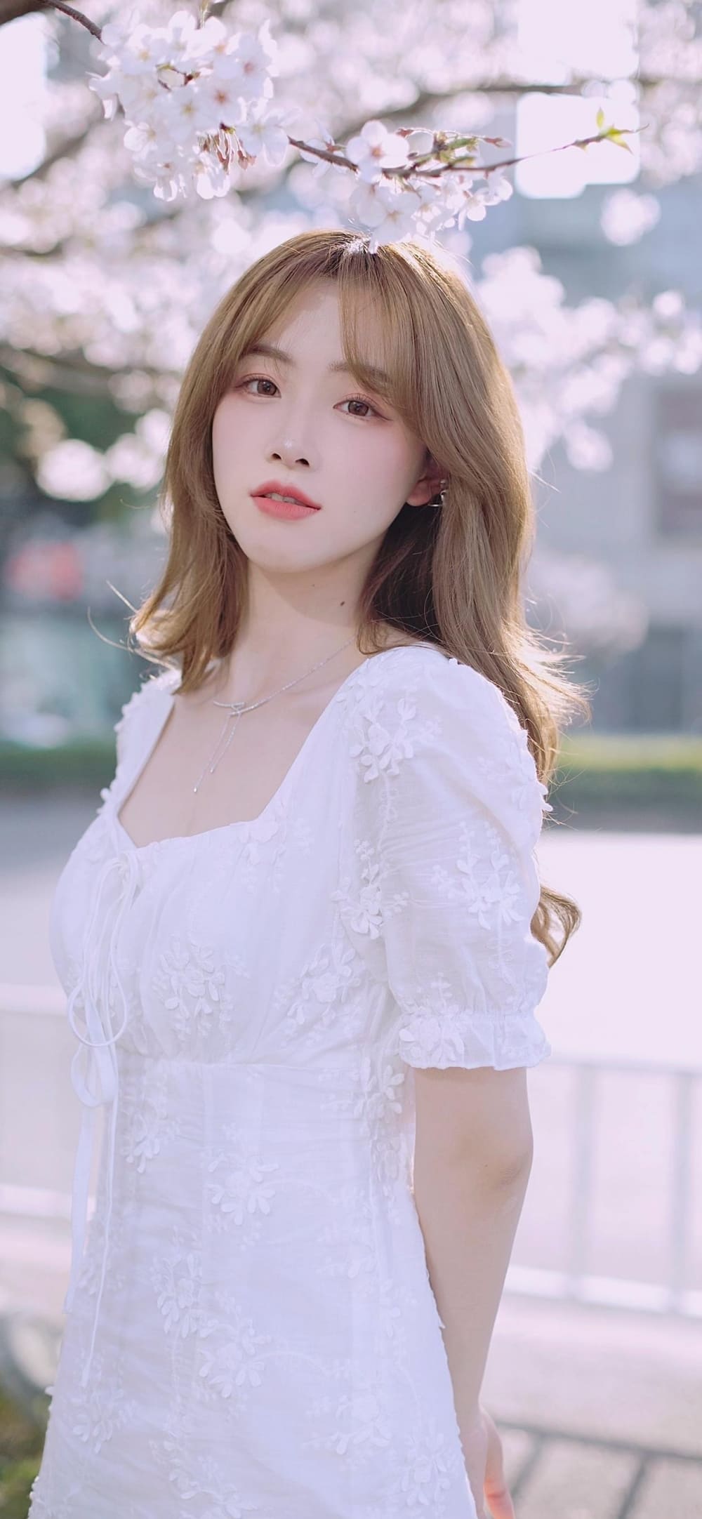 韩系风格美女樱花树下白裙清纯甜美风写真合集