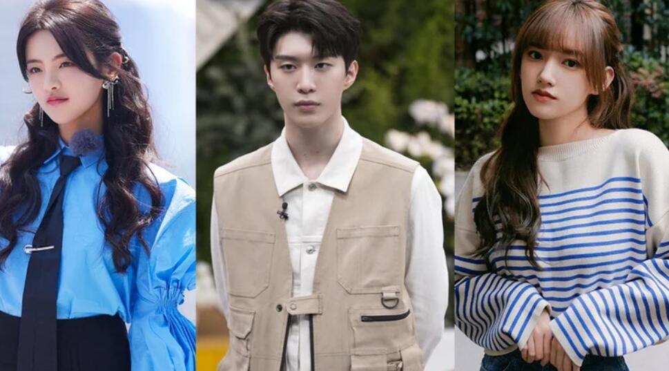 演技最差的偶像转型演员排行榜TOP 9