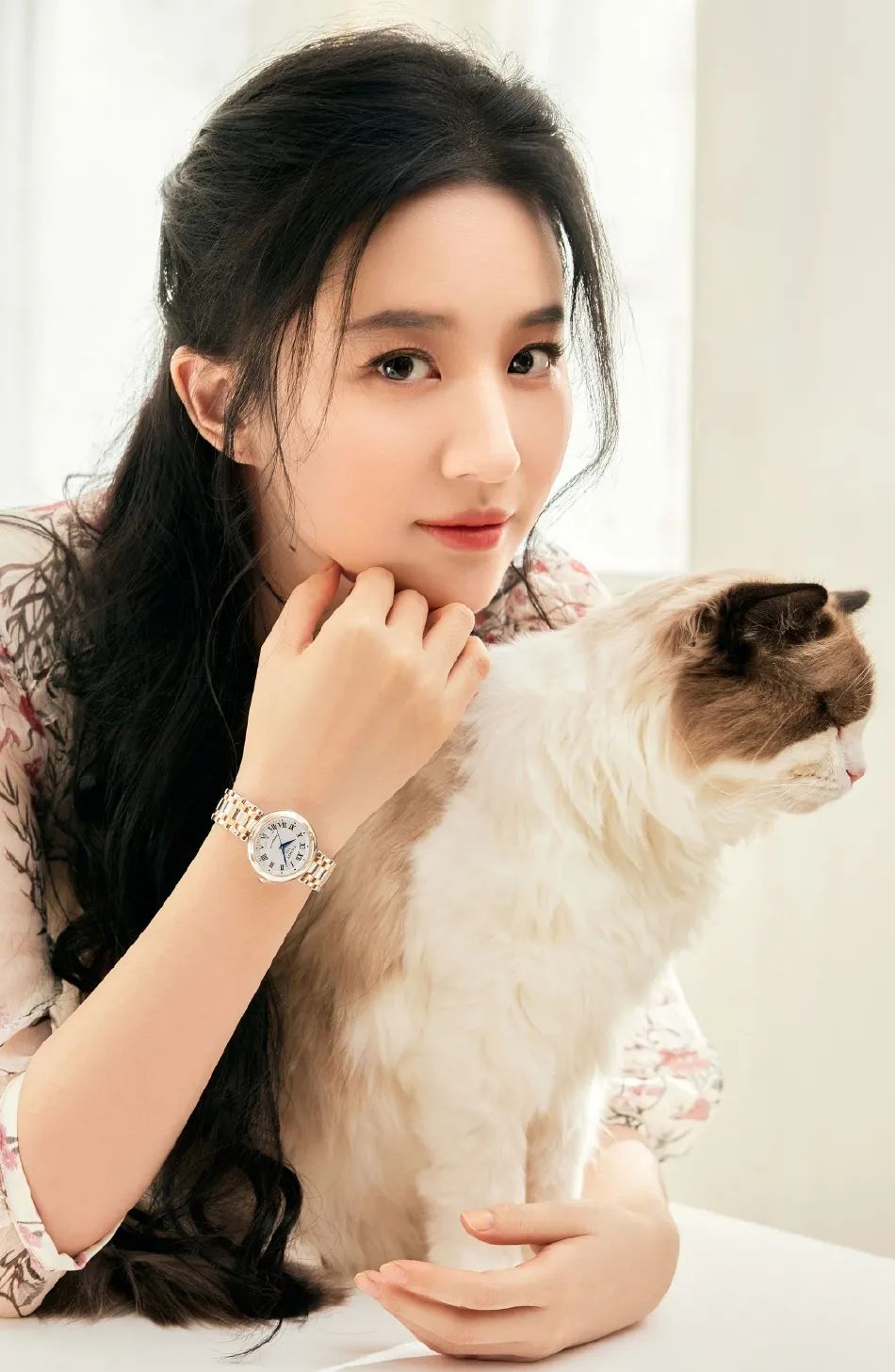 刘亦菲新年写真超清纯！尽显清新之美