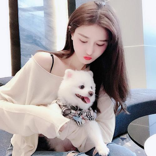 高冷妹子的弱点有哪些