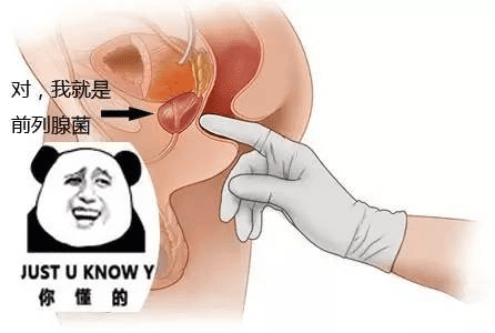 男性前列腺高潮，你不想了解吗？