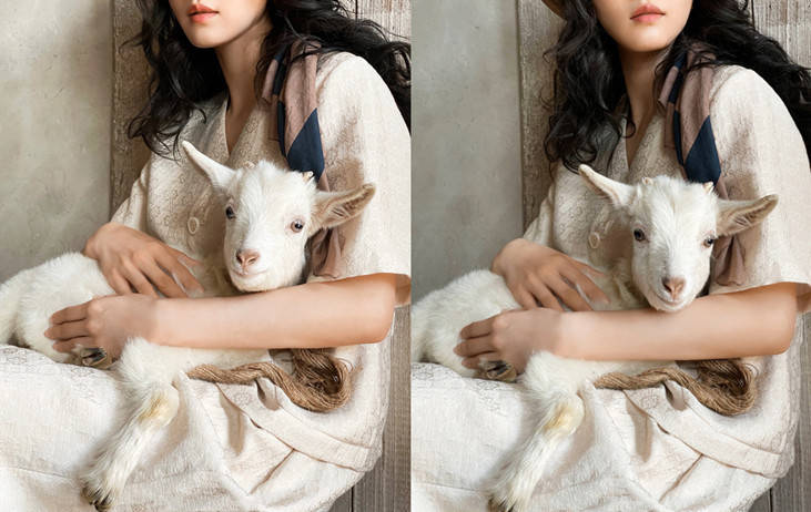 刘诗诗羊圈穿裙抱羊羔拍广告，选对场所美三分