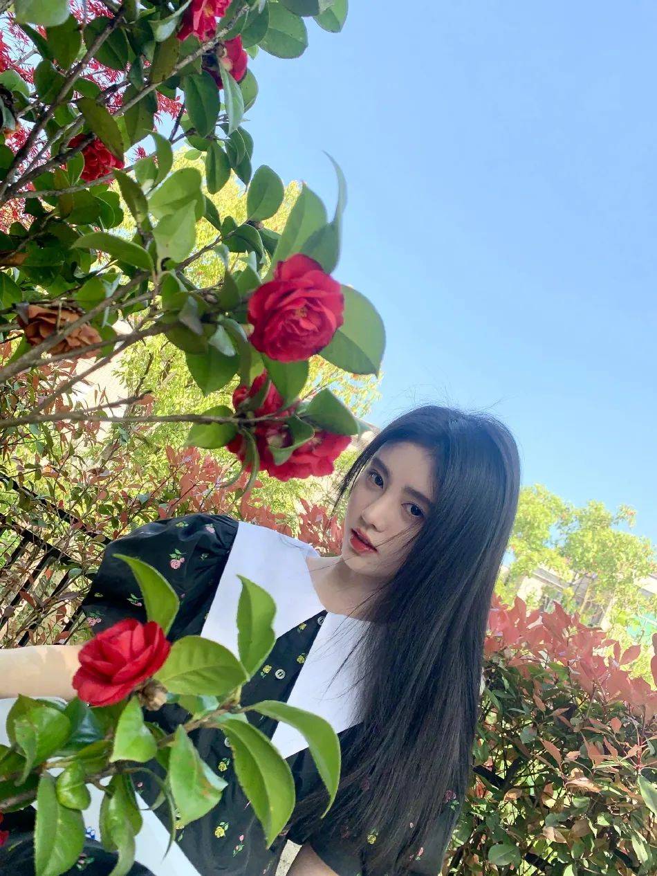 鞠婧祎春日花丛中超靓！娃娃领短裙明艳动人