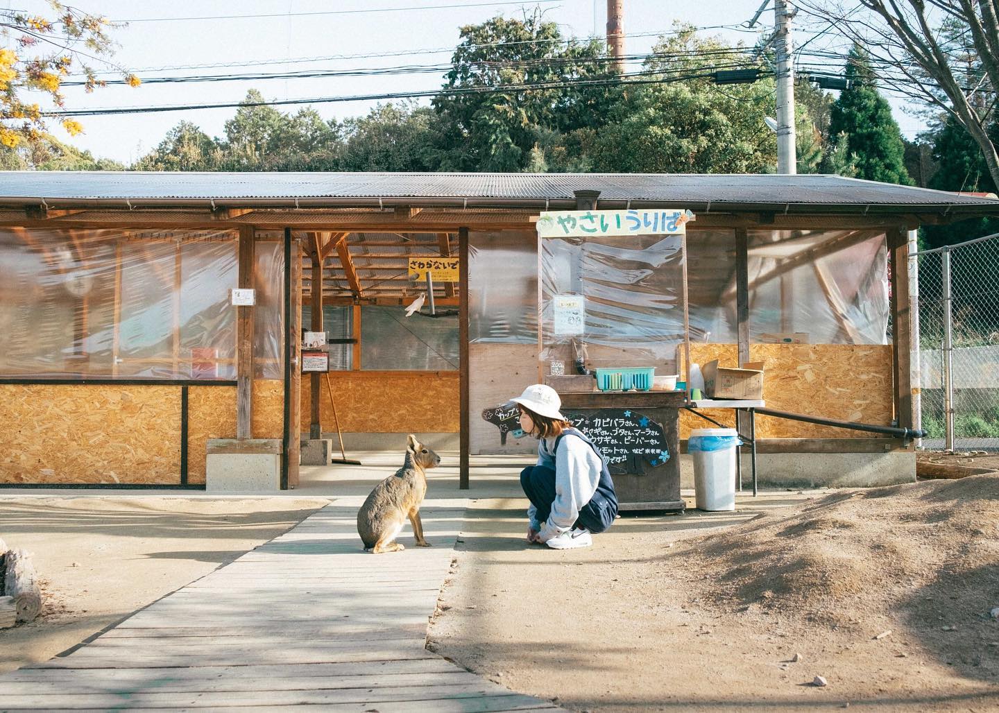 怎么拍都有爱,来自日本的治愈系情侣纪录了爱情最美的样子