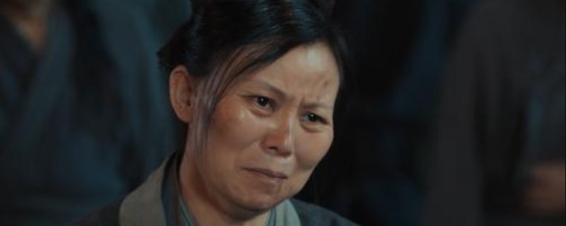 赘婿血手人屠是说的什么意思