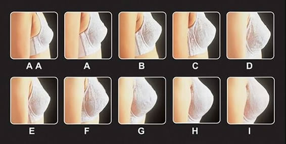 怎么判断自己是abcd罩杯？罩杯abcd大小区分图解罩杯尺寸