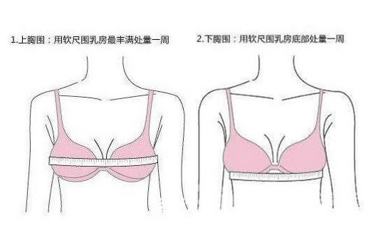 怎么判断自己是abcd罩杯？罩杯abcd大小区分图解罩杯尺寸