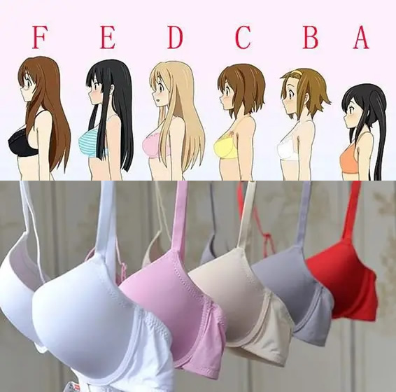 内衣罩杯abcd怎么计算区分大小(ABCDEFG是多大图片) 内衣罩杯abcd怎么计算区分大小?ABCDEFG是多大的图片