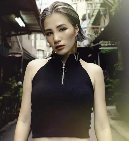 國內女rapper大全(十大國內女rapper實力排名)