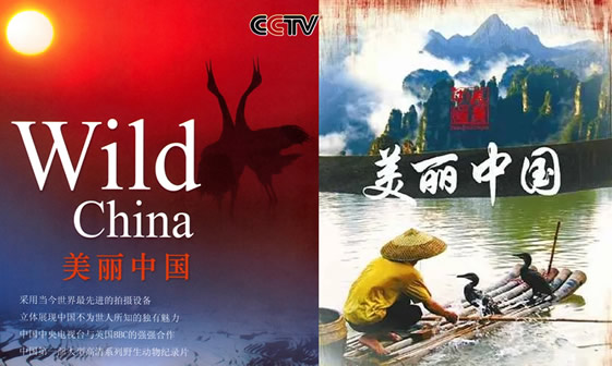 10部儿童电影7～13岁励志又搞笑国产，2022暑假看一遍