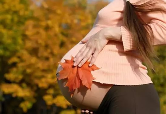 胎停是不是说明女方身体不好，和男性有关系吗？