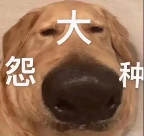 大冤种什么意思解读 冤种姐妹梗及表情包来了