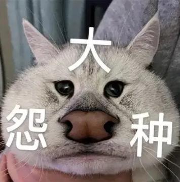 大冤种什么意思解读 冤种姐妹梗及表情包来了