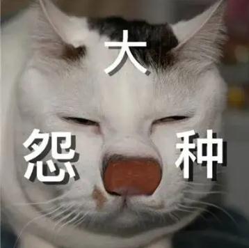大冤种什么意思解读 冤种姐妹梗及表情包来了