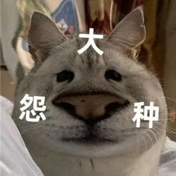 大冤种什么意思解读 冤种姐妹梗及表情包来了
