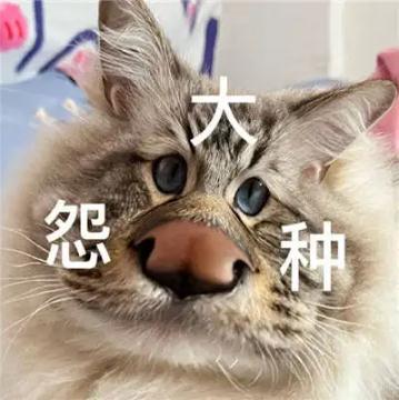 大冤种什么意思解读 冤种姐妹梗及表情包来了