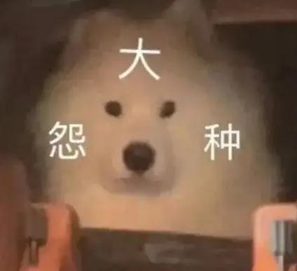 大冤种什么意思解读 冤种姐妹梗及表情包来了