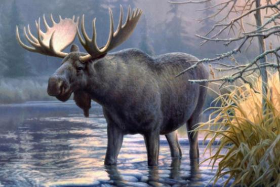 四不像是哪四个不像，都是什么动物