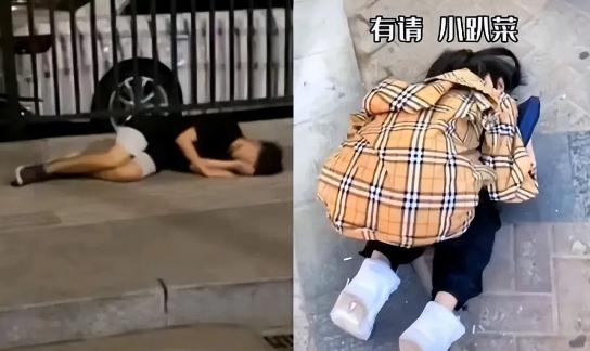 男生叫女生小趴菜什么意思(被喊小趴菜意思解读)